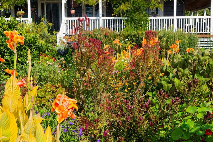 39A Waitane Road Kaikoura Surrounds_79