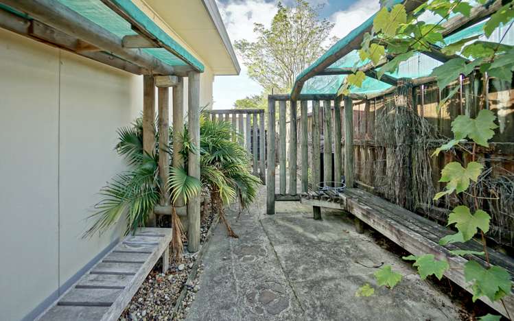 3b Otawa Street Te Puke_17