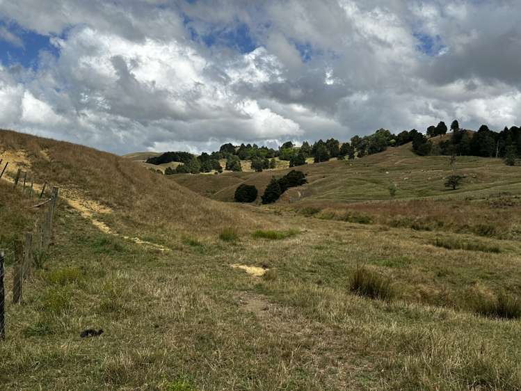 39 Bothwell Road Glen Murray Franklin Rural Property For Sale