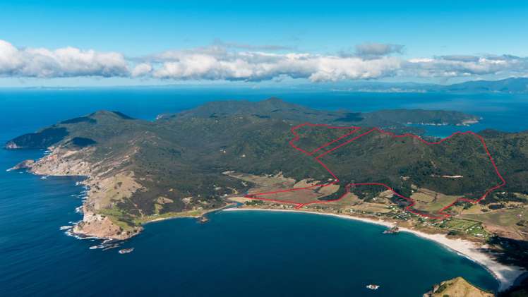 499 Medland Road Great Barrier Island (Aotea Island)_9