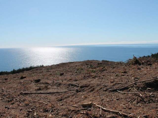 Shag Point Road Waitaki_4