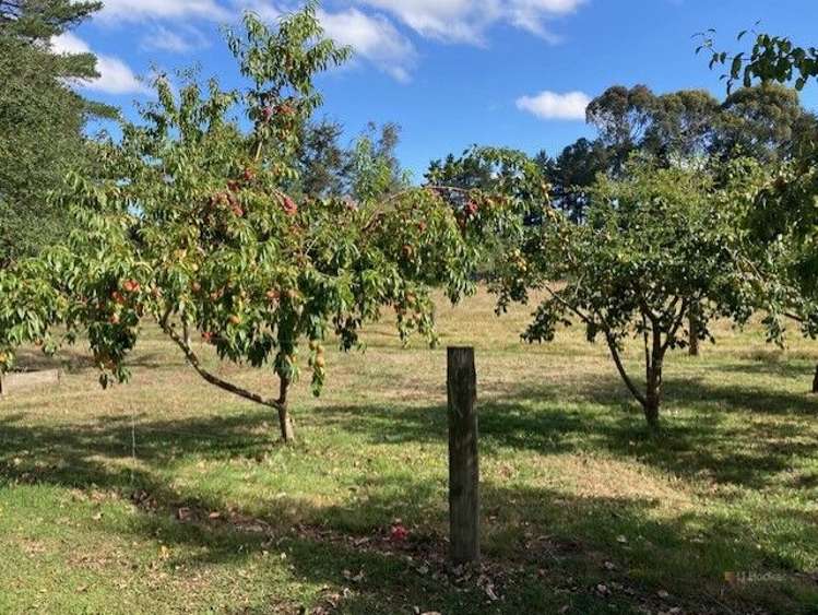 21 Pleasant Valley Road Geraldine_24