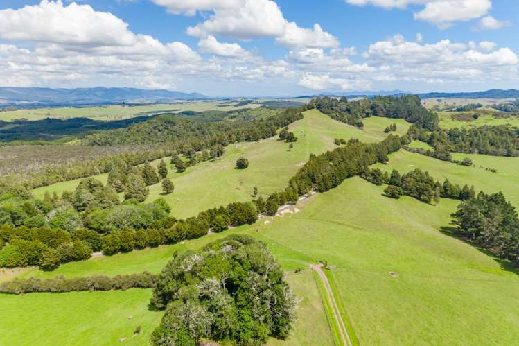 97e Hillcrest Road Kaikohe_15