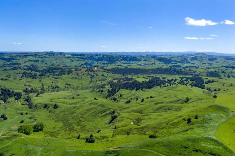 246 Allen and Eyre Road Onewhero_8