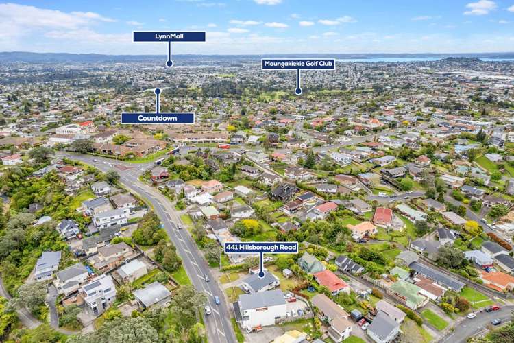 441 Hillsborough Road Mount Roskill_22