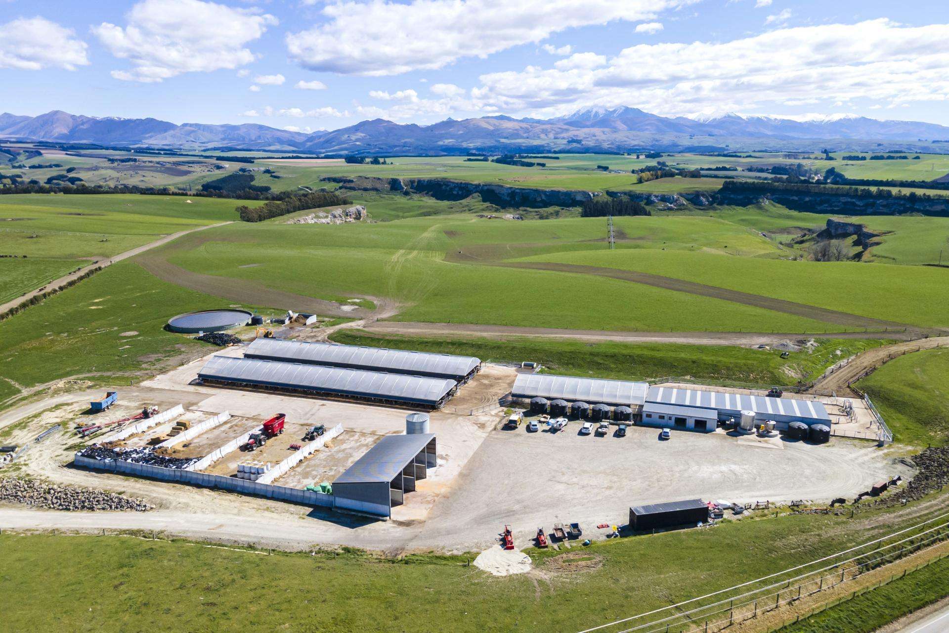 174 Hodges Road, in Waimana, is a 134-hectare turnkey dairy operation that’s for sale by tender. Photo / Supplied