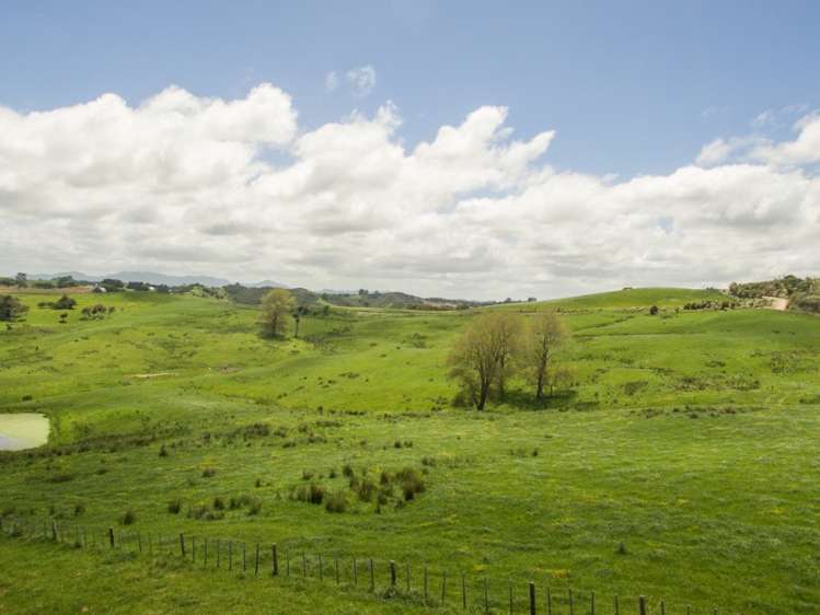 38 Birch Road Ruawai_8