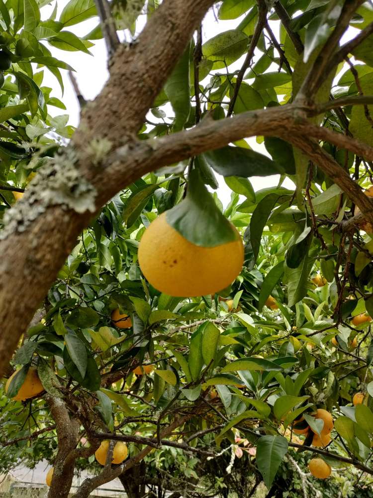 4 Creek Road Mangamahu_14