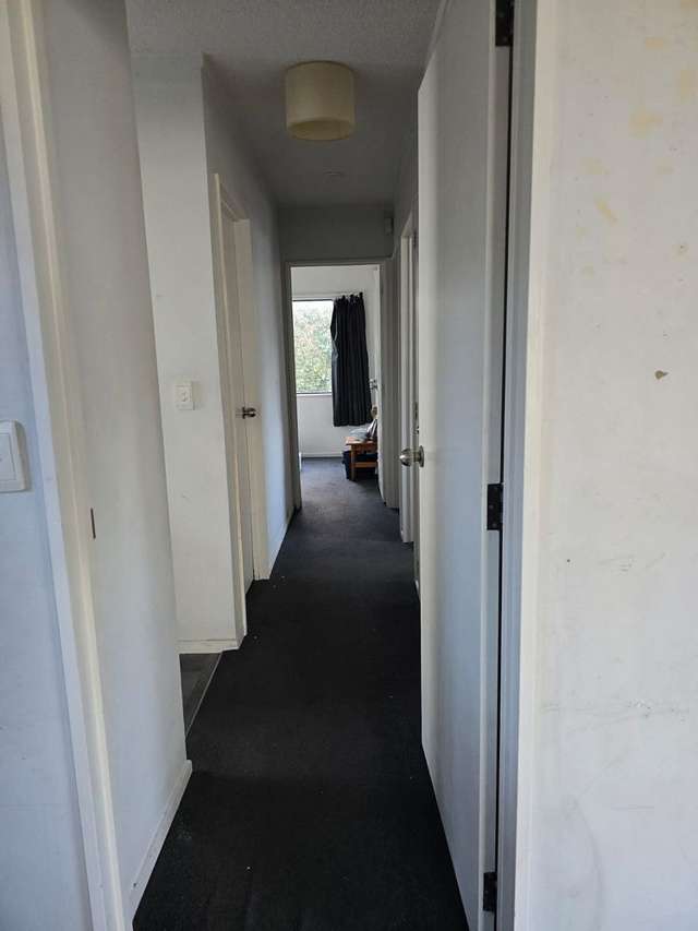 46A Boundary Road Claudelands_4