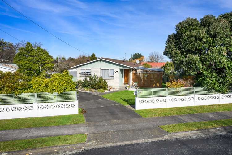 21 Flower Street Bulls_26