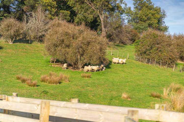 13 Mount Munro Road Mauriceville_20