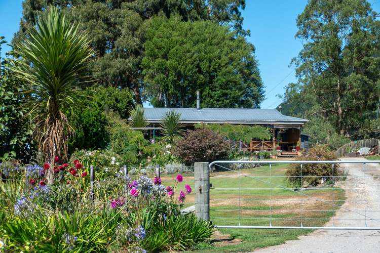 402 Apirana Road Horohoro_20