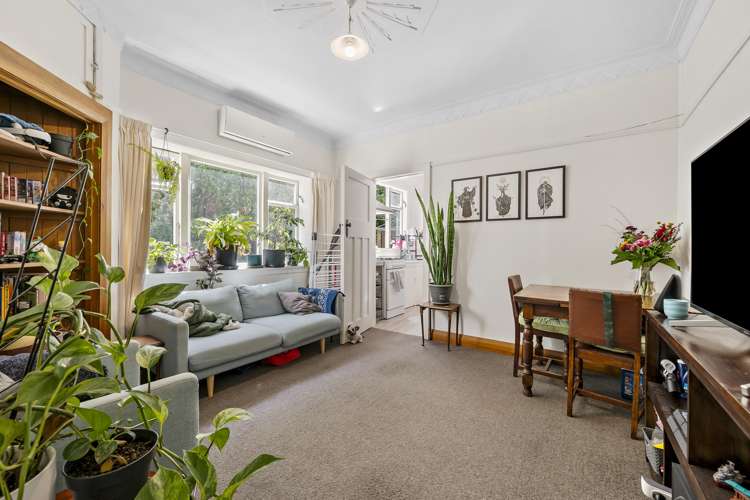 51 Mornington Road Brooklyn_14