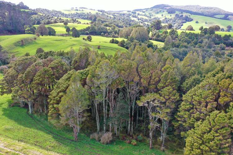 Lot 1 Katui Road Dargaville Surrounds_7