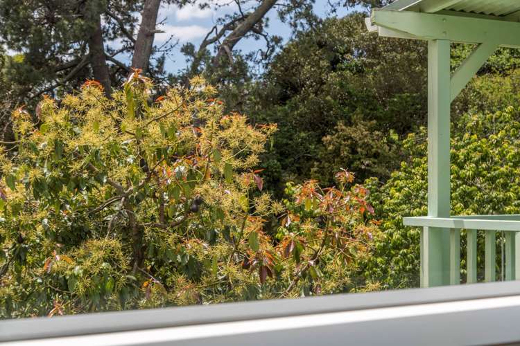 49 Esmeralda Avenue Avondale_10