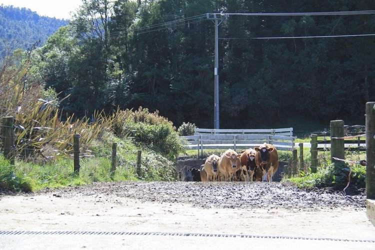 Karamea Highway Karamea_9