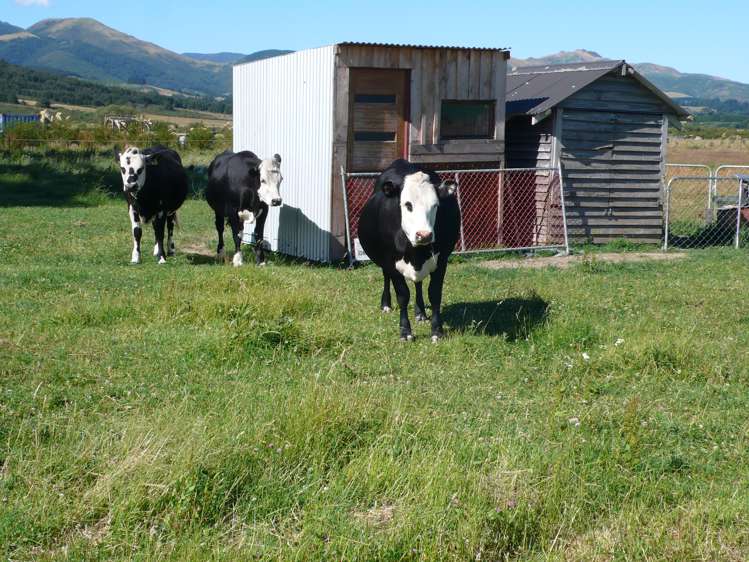 9 Lewis Road Oxford_10