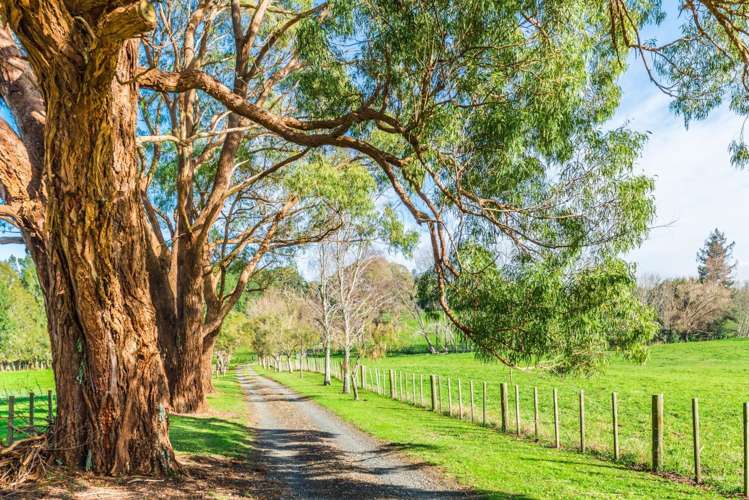 75 Fielding Road Drury_7