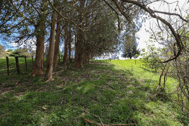 Glen Murray Road Rangiriri_27