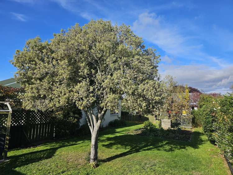 36 Stephenson Street Blenheim Central_13