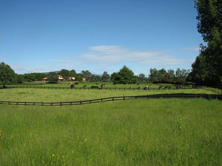 305 Taihoa South Road Matamata_7