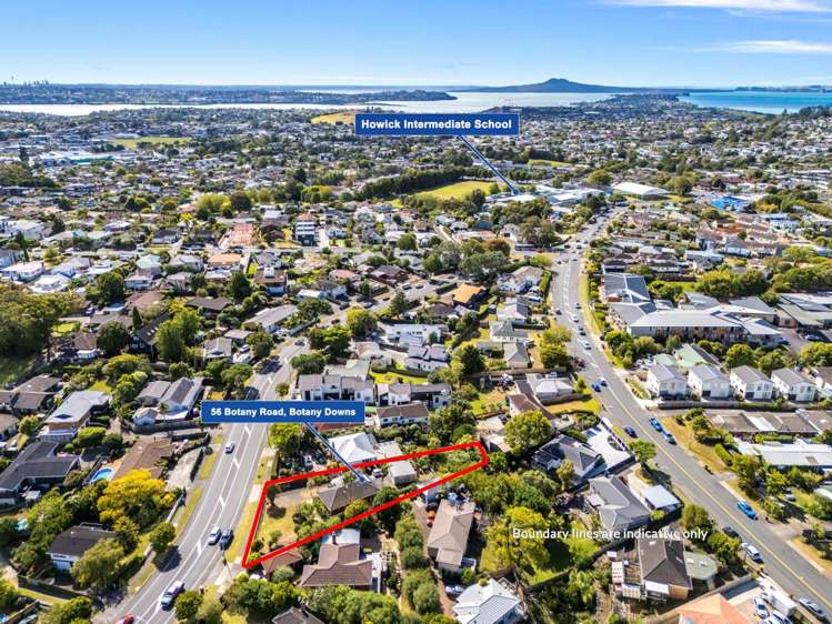 56 Botany Road Botany Downs_10