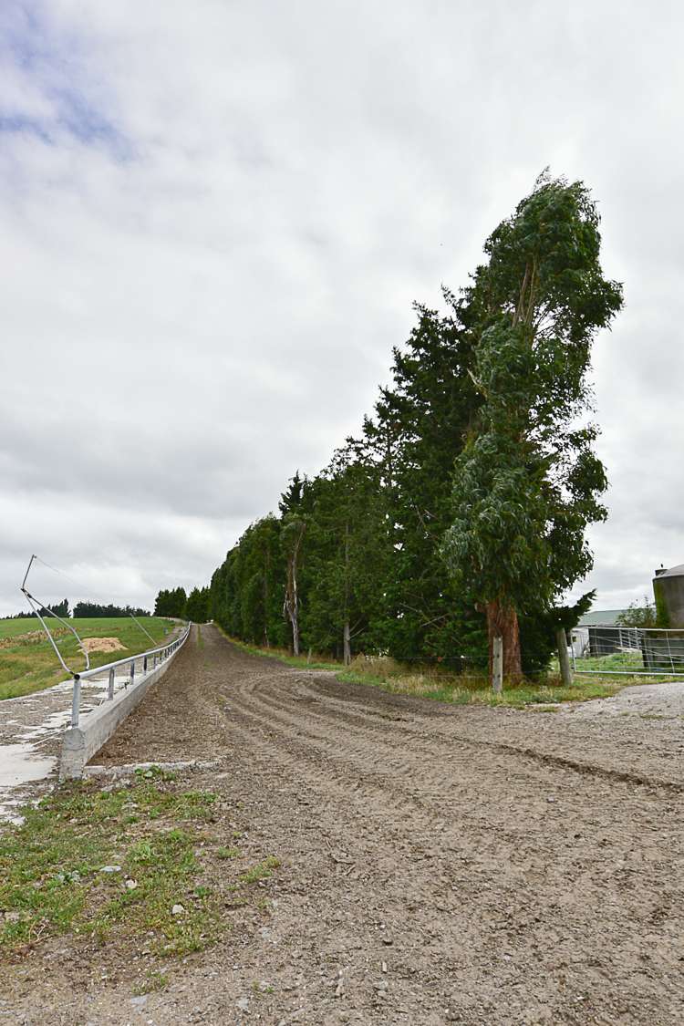 217 Benhar Road Balclutha_18