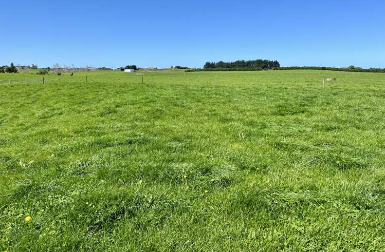 149 Paerewa Road Waverley_15