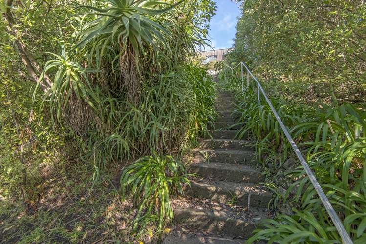 66 Mount Pleasant Road Mount Pleasant_11