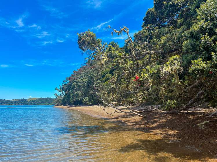 Share 18 Moturoa Island Russell_6