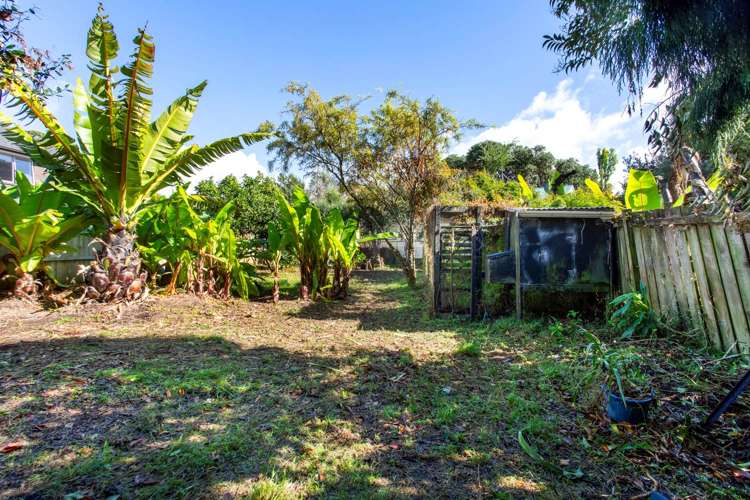 37 Mead Street Avondale_13