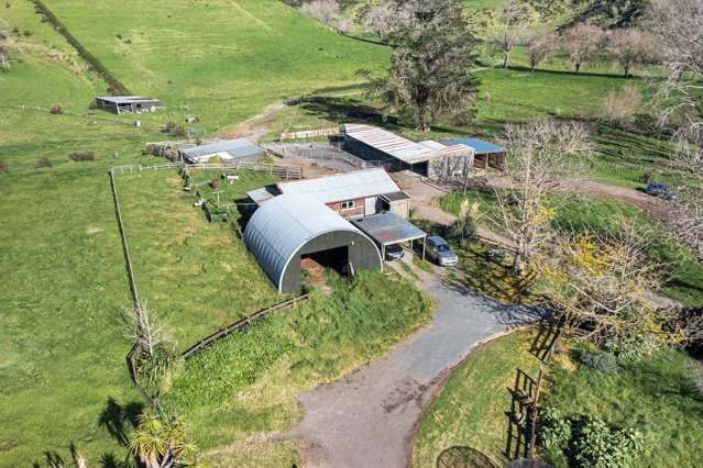 892d Welcome Bay Road Papamoa_3