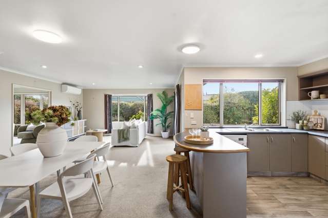60 Norwood Street Sydenham_3