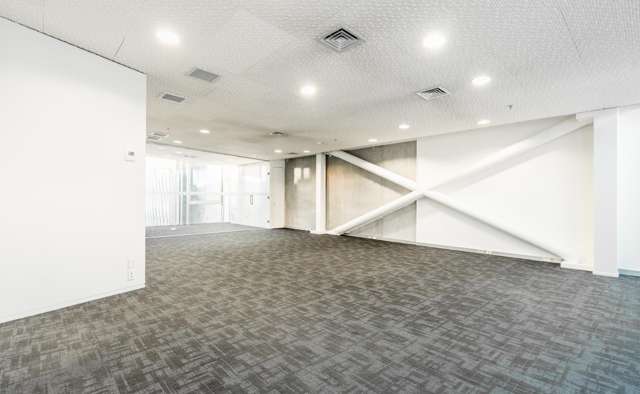 Suite 1/8A Cleveland Road Parnell_2