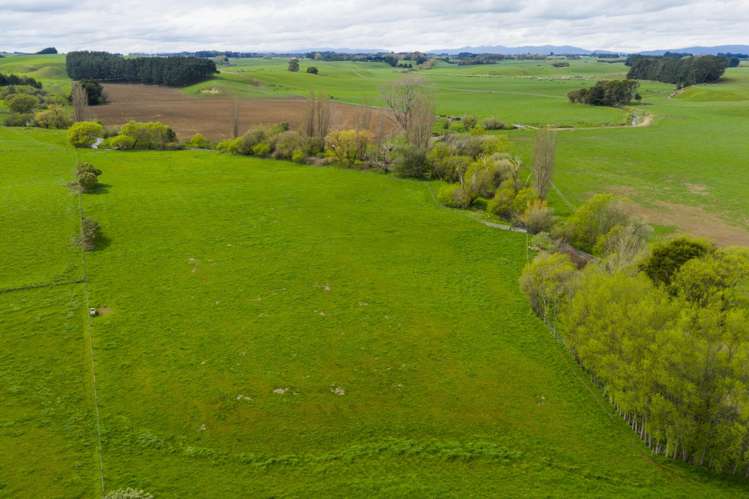 260 Haynes Line Feilding_30