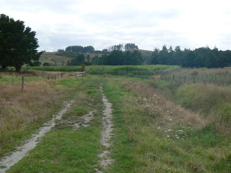 State Highway 12 Kaikohe_6