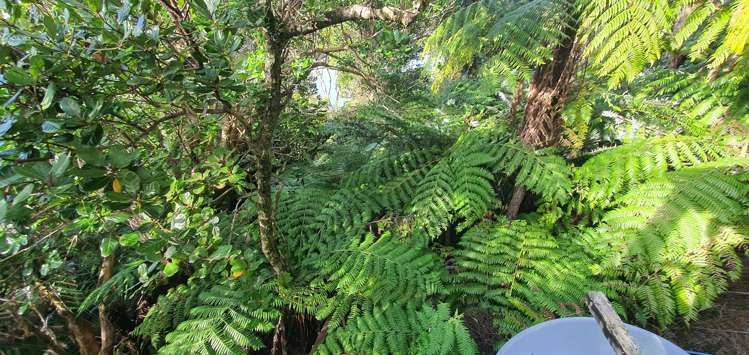 Lot 135/DP4961 North Cove Kawau Island_20