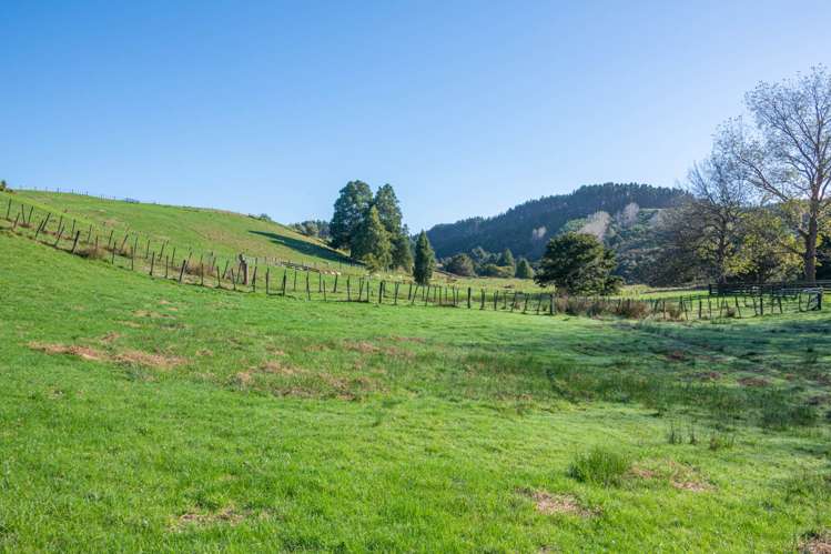 334A Komokoriki Hill Road_3