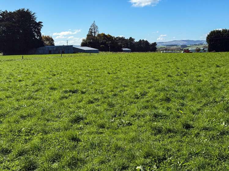 403 Island Edendale Road Menzies Ferry_6