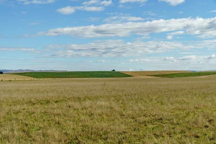 305 Bypass Road Ranfurly_26