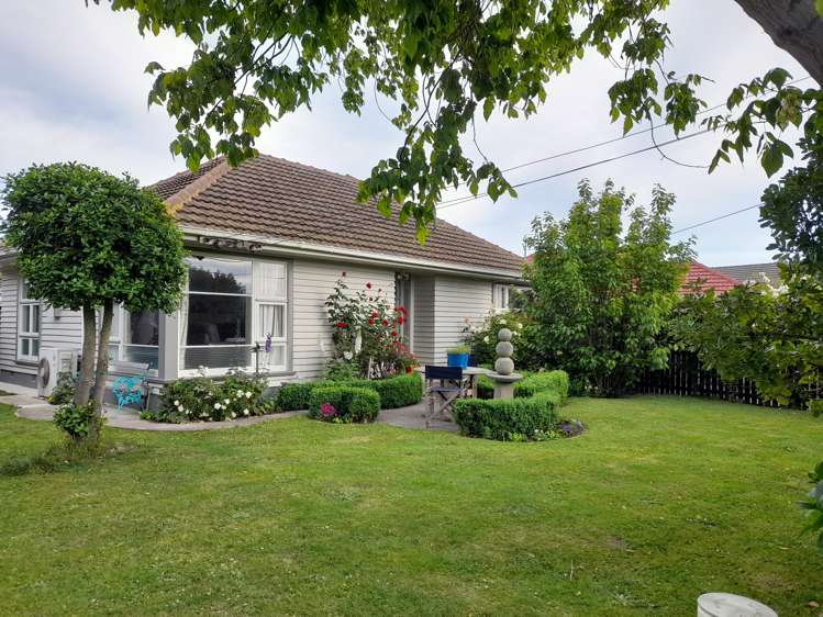 24 Pembroke Street Avondale_12