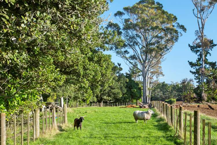 25a Parker Lane Buckland_18