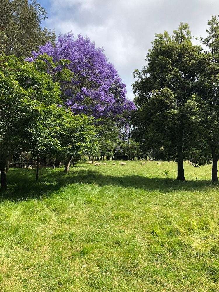 2 West Beach Road Mohaka_4