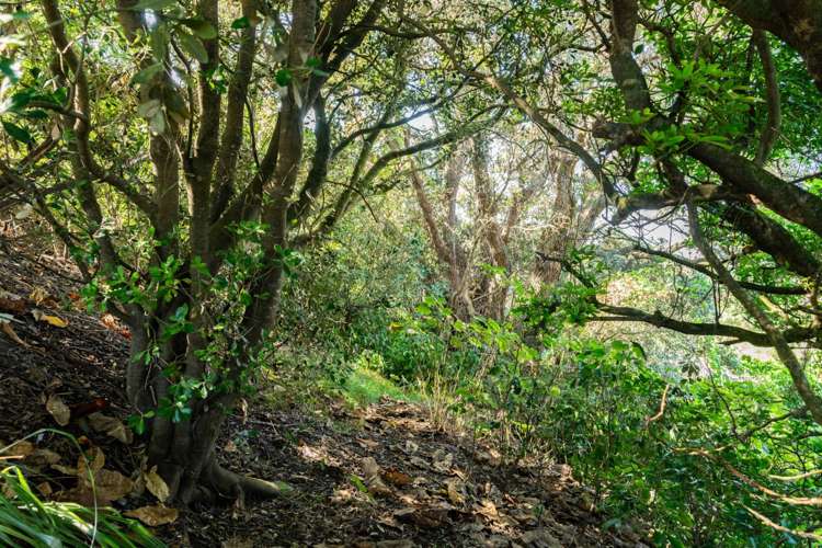 39 Cheviot Street Mangawhai Heads_23