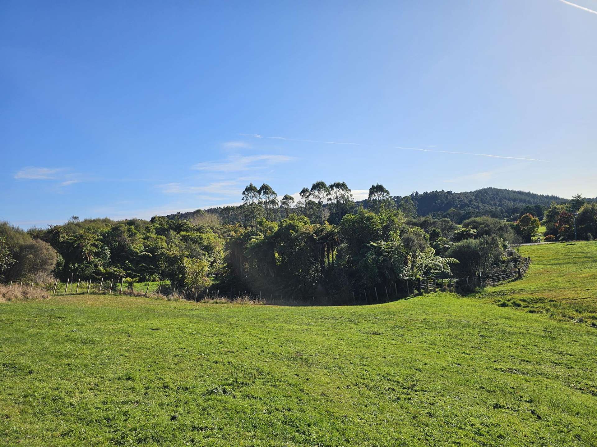 374 Rutherglen Road Marsden_0