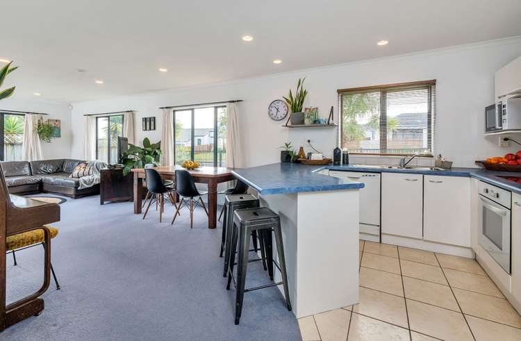 11 Ksenia Drive Flat Bush_8