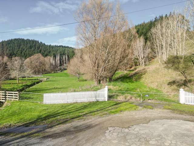 Kaukatea Valley Road Okoia_1