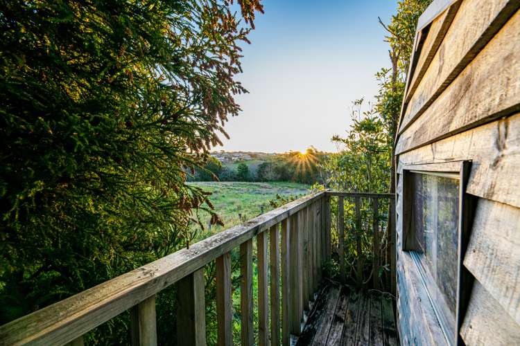 44 Roy Maloney Drive Henderson_27