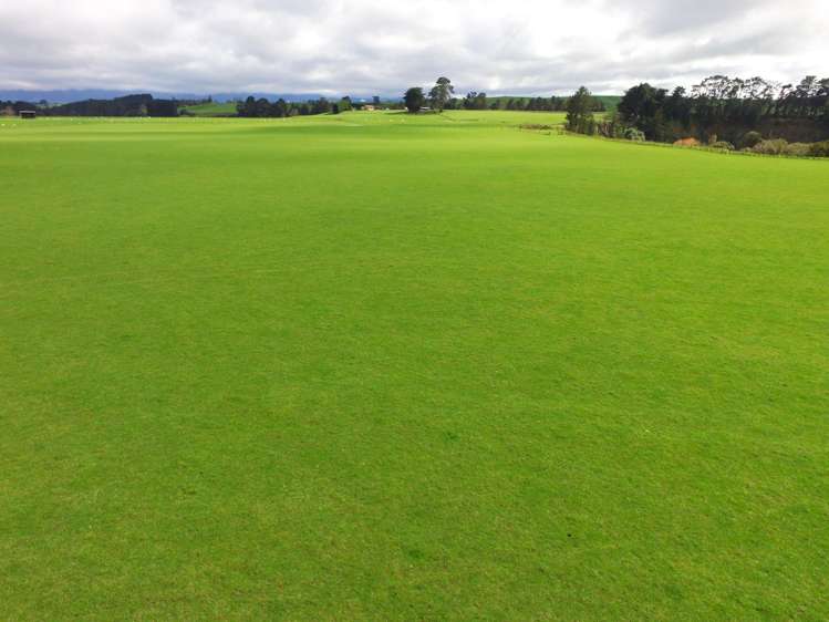 63 Hamilton Road Dannevirke_38