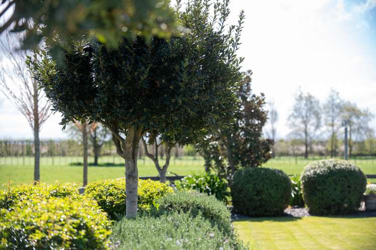 150 Te Mata Mangateretere Road Havelock North_11